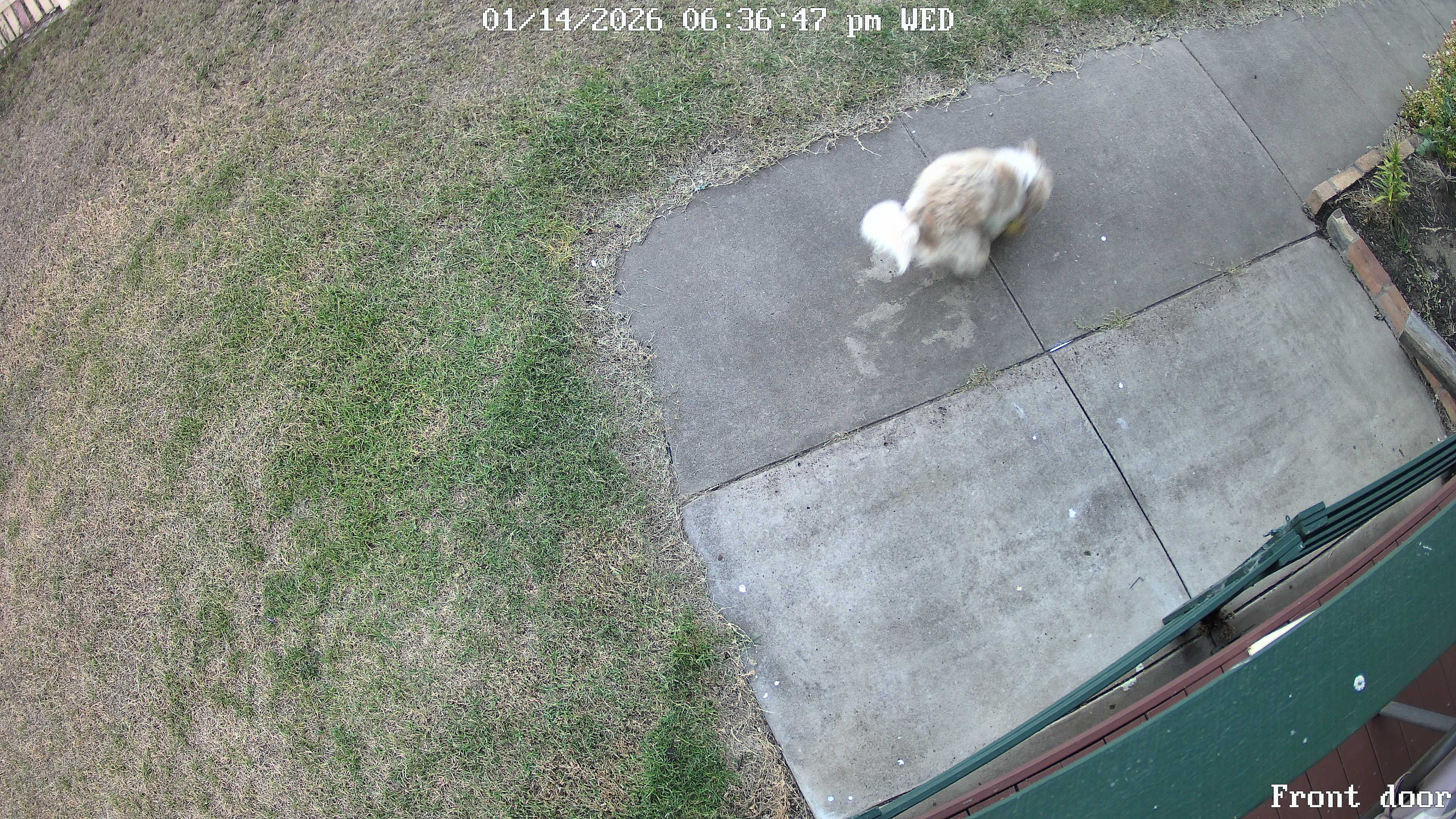 Front door_00_20260114183647.jpg